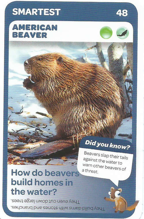 "SUPER ANIMALS" - PICK&PAY TRADING CARD COLLECTION -  CARD 48