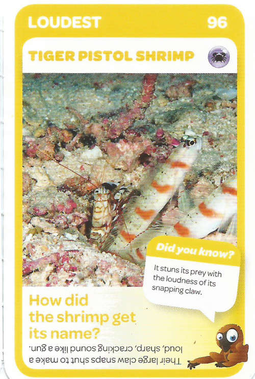 "SUPER ANIMALS" SERIES 1 - PICK&PAY TRADING CARD COLLECTION -  CARD 96
