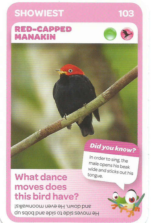 "SUPER ANIMALS" - PICK&PAY TRADING CARD COLLECTION -  CARD 103