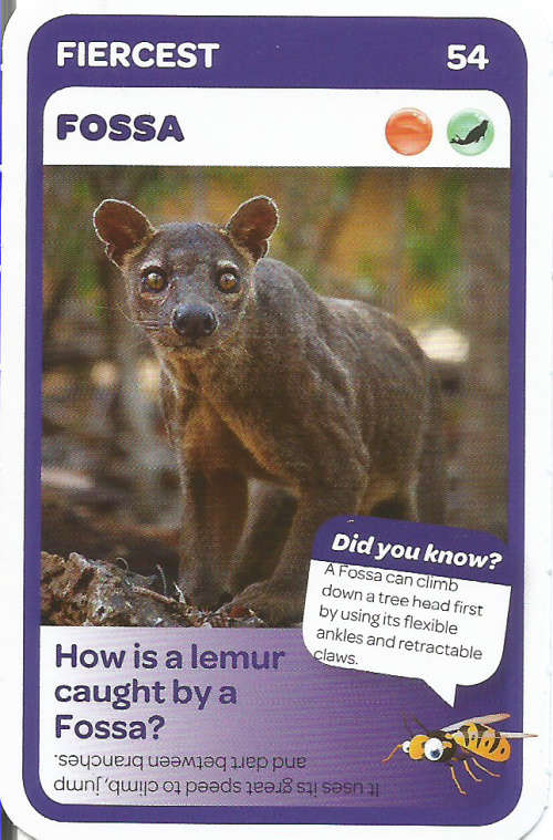 "SUPER ANIMALS" - PICK&PAY TRADING CARD COLLECTION -  CARD 54