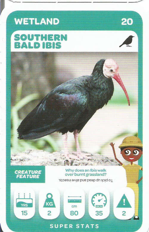 PICK n PAY "SOUTH AFRICAN SUPER ANIMALS" SERIES 2 - TRADING CARD 20