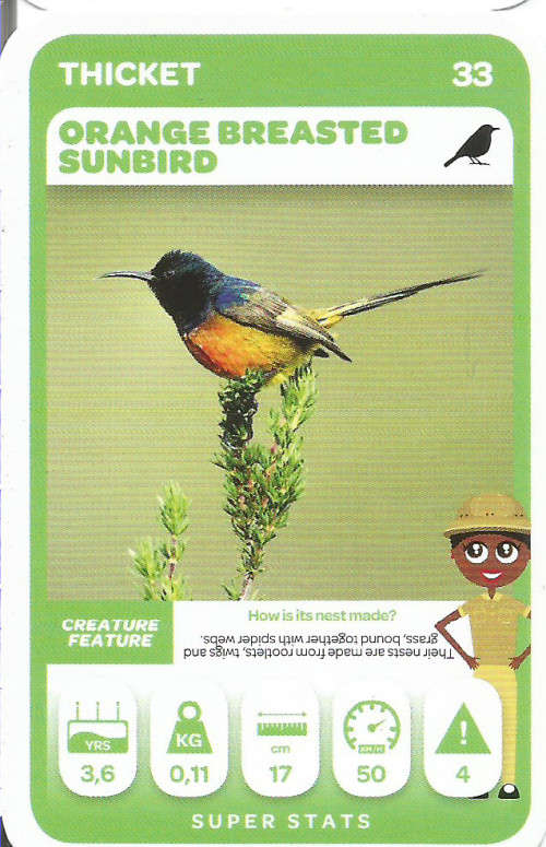 PICK n PAY "SOUTH AFRICAN SUPER ANIMALS" SERIES 2 - TRADING CARD 33