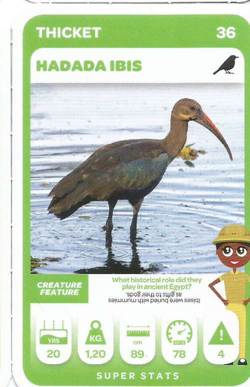 PICK n PAY "SOUTH AFRICAN SUPER ANIMALS" SERIES 2 - TRADING CARD 36