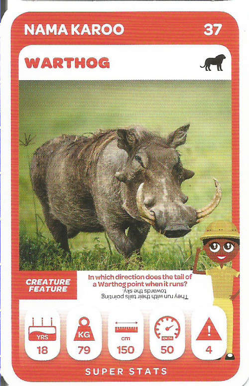PICK n PAY "SOUTH AFRICAN SUPER ANIMALS" SERIES 2  - TRADING CARD 37