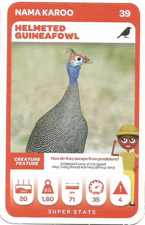 PICK n PAY "SOUTH AFRICAN SUPER ANIMALS" SERIES 2  - TRADING CARD 39