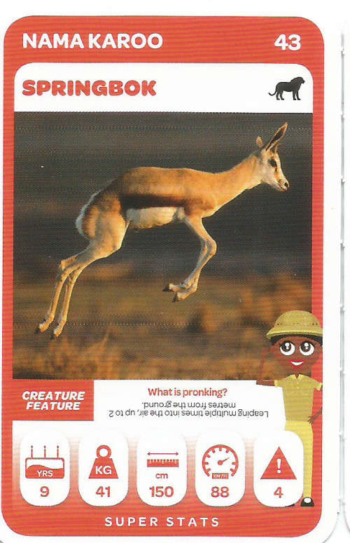 PICK n PAY "SOUTH AFRICAN SUPER ANIMALS" SERIES 2 - TRADING CARD 43