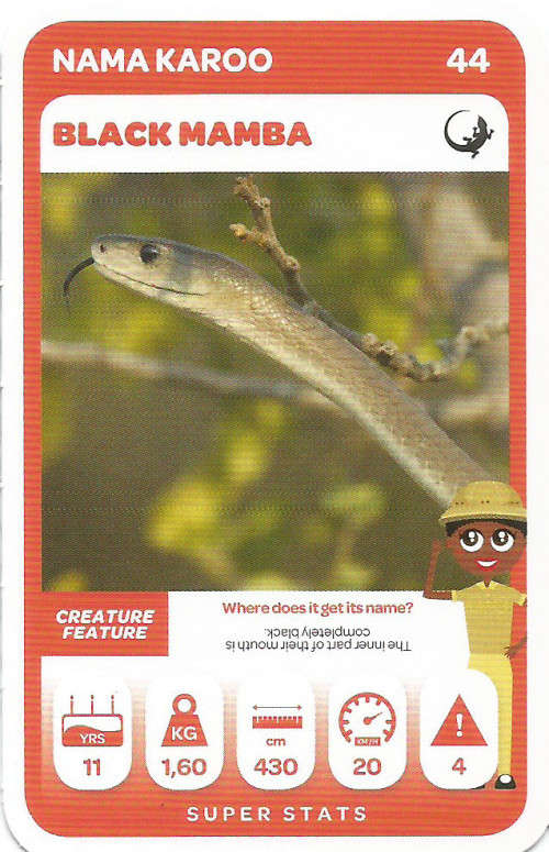 PICK n PAY "SOUTH AFRICAN SUPER ANIMALS" SERIES 2 - TRADING CARD 44