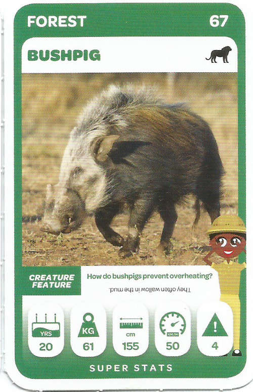 PICK n PAY "SOUTH AFRICAN SUPER ANIMALS" SERIES 2  - TRADING CARD 67