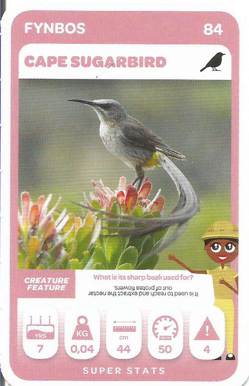 PICK n PAY "SOUTH AFRICAN SUPER ANIMALS" SERIES 2 - TRADING CARD 84