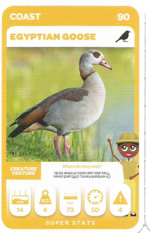 PICK n PAY "SOUTH AFRICAN SUPER ANIMALS" SERIES 2  - TRADING CARD 90