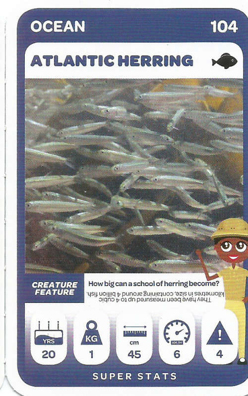 PICK n PAY "SOUTH AFRICAN SUPER ANIMALS" SERIES 2 - TRADING CARD 104