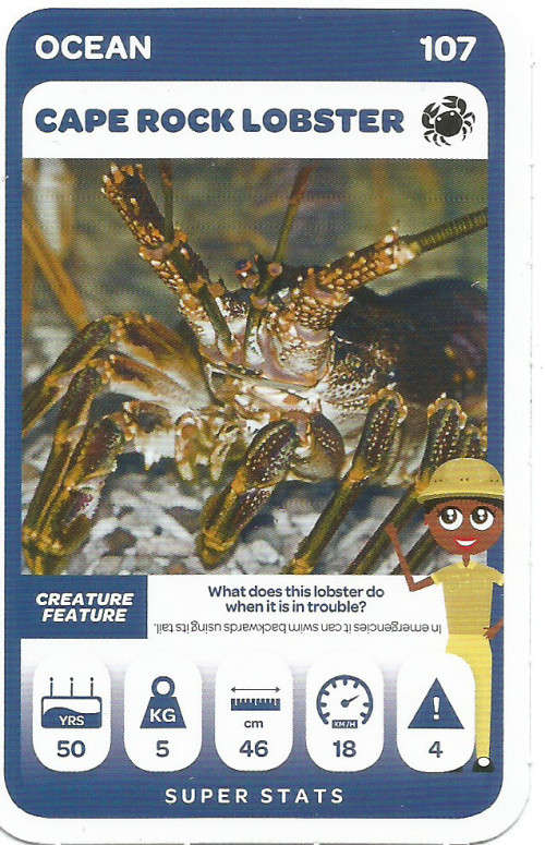 PICK n PAY "SOUTH AFRICAN SUPER ANIMALS" SERIES 2 - TRADING CARD 107