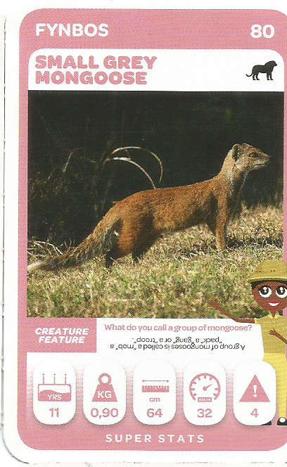 PICK n PAY "SOUTH AFRICAN SUPER ANIMALS" SERIES 2  - TRADING CARD 80