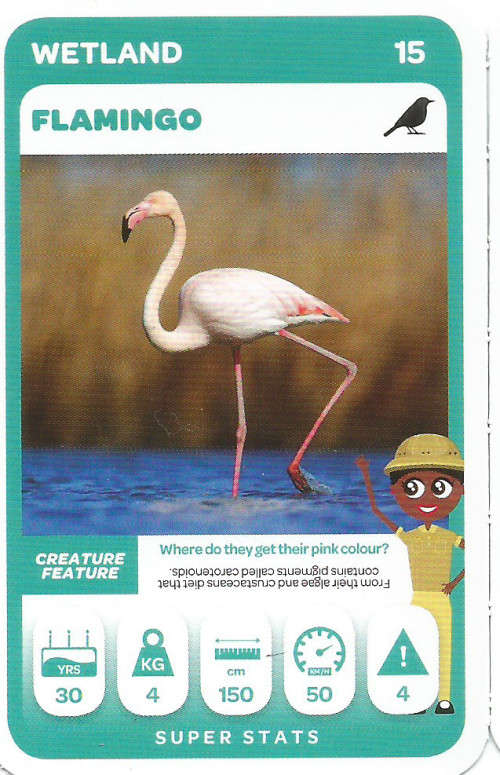 PICK n PAY "SOUTH AFRICAN SUPER ANIMALS" SERIES 2 - TRADING CARD 15