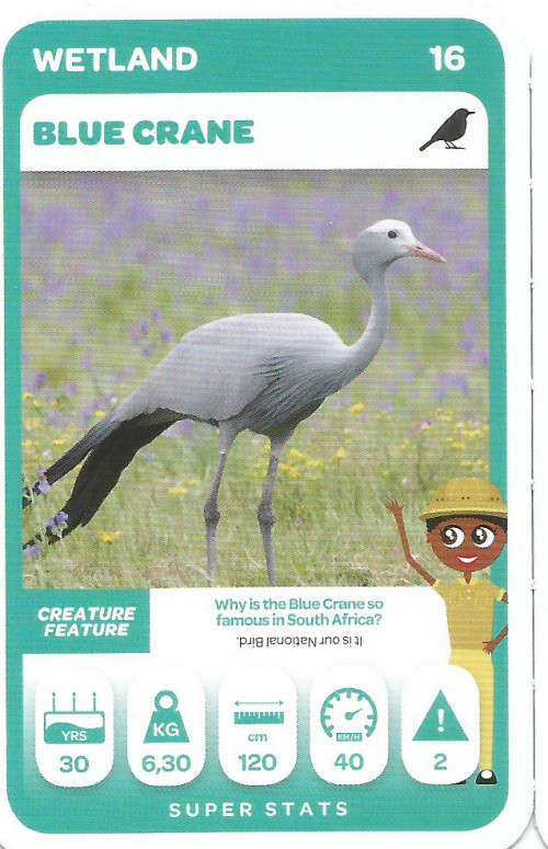 PICK n PAY "SOUTH AFRICAN SUPER ANIMALS" SERIES 2 - TRADING CARD 16
