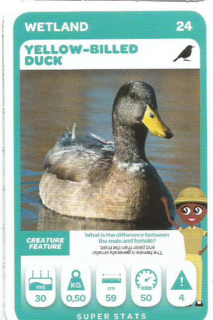 PICK n PAY "SOUTH AFRICAN SUPER ANIMALS" SERIES 2 - TRADING CARD 24