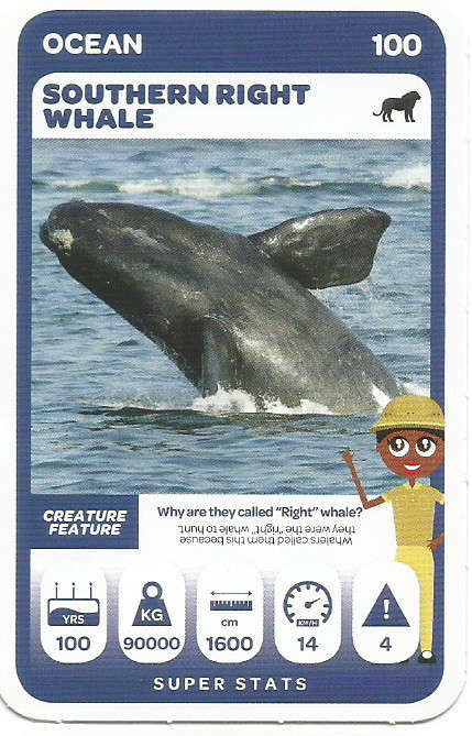 PICK n PAY "SOUTH AFRICAN SUPER ANIMALS" - TRADING CARD 100