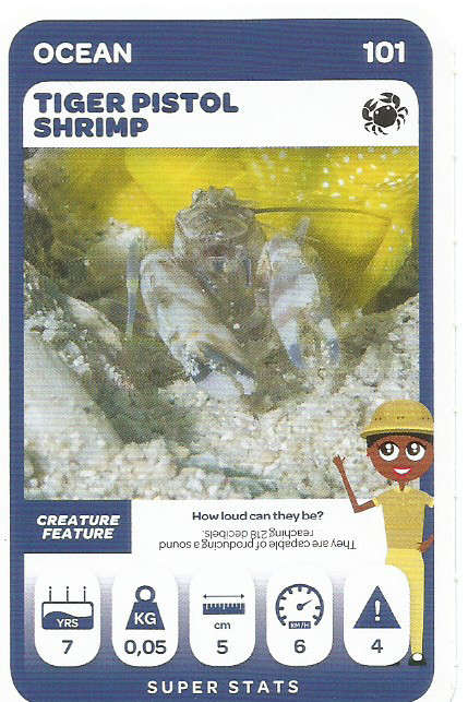 PICK n PAY "SOUTH AFRICAN SUPER ANIMALS" SERIES 2  - TRADING CARD 101