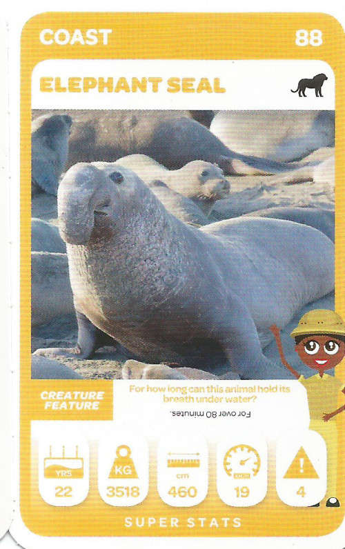 PICK n PAY "SOUTH AFRICAN SUPER ANIMALS" SERIES 2  - TRADING CARD 88