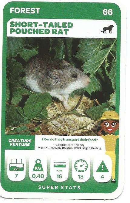 PICK n PAY "SOUTH AFRICAN SUPER ANIMALS" SERIES 2 - TRADING CARD 66