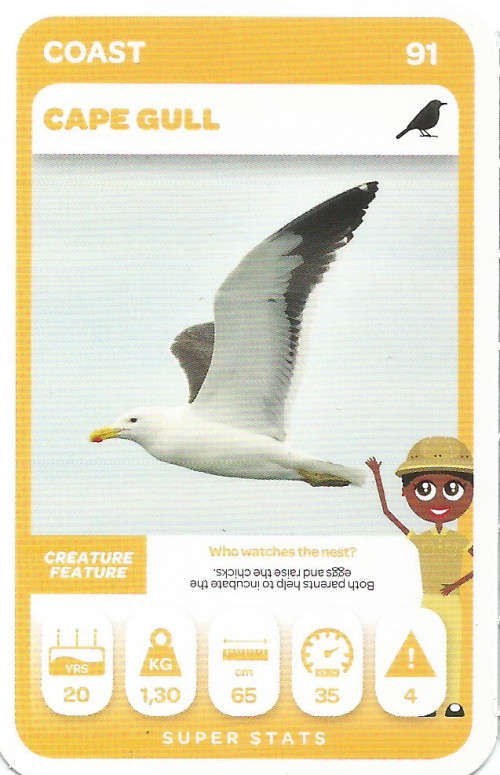 PICK n PAY "SOUTH AFRICAN SUPER ANIMALS" SERIES 2 - TRADING CARD 91