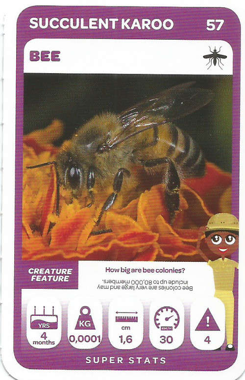 PICK n PAY "SOUTH AFRICAN SUPER ANIMALS" SERIES 2 - TRADING CARD 57