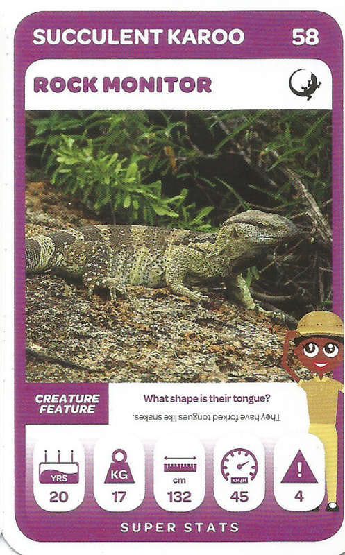 PICK n PAY "SOUTH AFRICAN SUPER ANIMALS" SERIES 2  - TRADING CARD 58