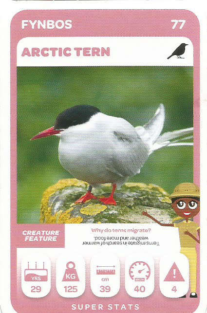 PICK n PAY "SOUTH AFRICAN SUPER ANIMALS" SERIES 2  - TRADING CARD 77