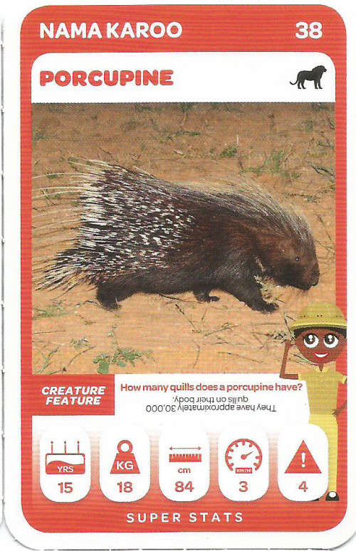 PICK n PAY "SOUTH AFRICAN SUPER ANIMALS" SERIES 2  - TRADING CARD 38