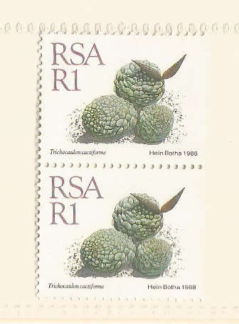 SOUTH AFRICA 1988 - SACC 681 - R1 "DEFINITIVE ISSUE" - PAIR of STAMPS 17/10/91  - UM