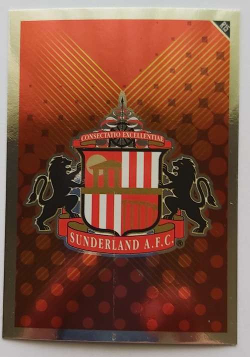 SUNDERLAND AFC - TOPPS MATCH ATTAX `EXTRA` 2011 - FOIL `BADGE` TRADING CARD R15