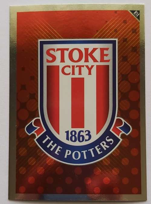 STOKE CITY - TOPPS MATCH ATTAX `EXTRA` 2011 - FOIL `BADGE` TRADING CARD R14