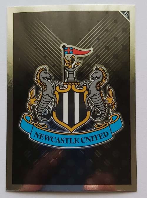 NEWCASTLE UNITED - TOPPS MATCH ATTAX `EXTRA` 2011 - FOIL `BADGE` TRADING CARD R13