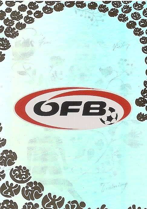 AUSTRIA - PANINI `UEFA EURO 2008 PREMIUM` COLLECTION - FOIL `LOGO` TRADING CARD 14