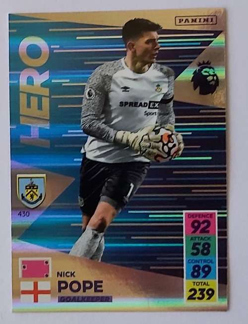 NICK POPE - PANINI Adrenalyn EPL 2021/2022 - FOIL `HERO` TRADING CARD 430