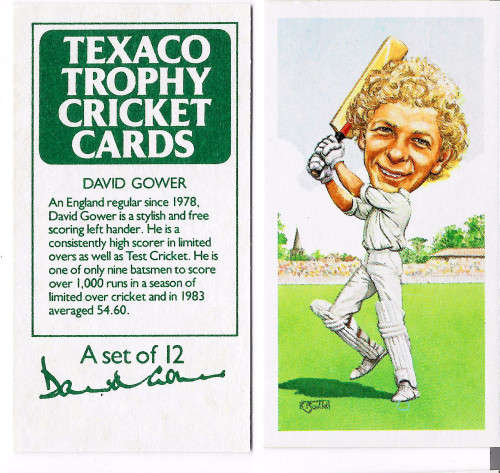 DAVID GOWER (England) - TEXACO TROPHY 1984 CRICKET CARD COLLECTION - TEA TRADING CARD
