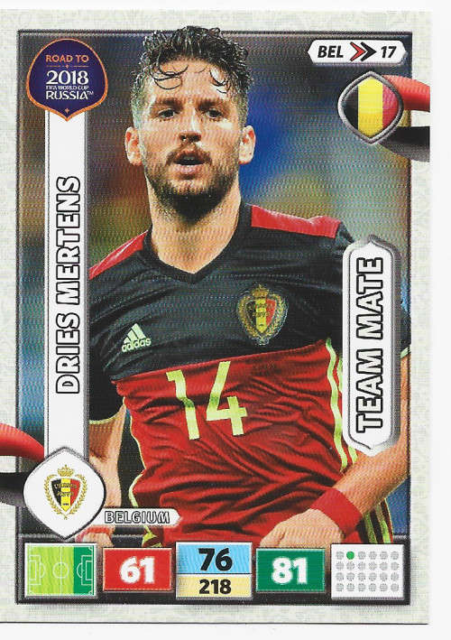 DRIES MEERTENS - PANINI `Road to WORLD CUP 2018` - `TEAM MATE` TRADING CARD