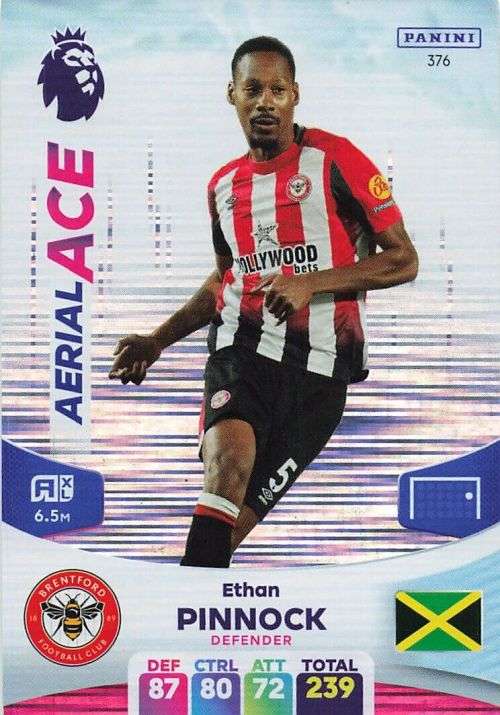 ETHAN PINNOCK - PANINI English Premier League 2023/24 -FOIL `AERIAL ACE` TRADING CARD 376