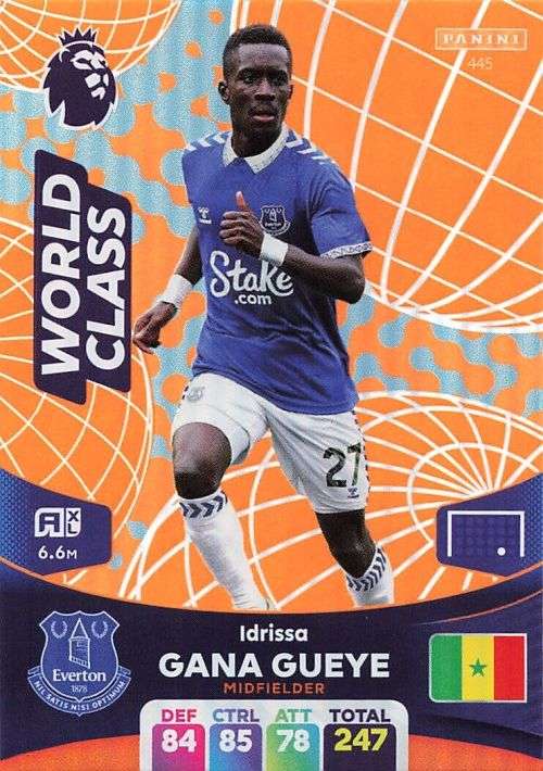 IDRISSA GUEYE - PANINI English Premier League 2023/24 -FOIL `WORLD CLASS` TRADING CARD 445