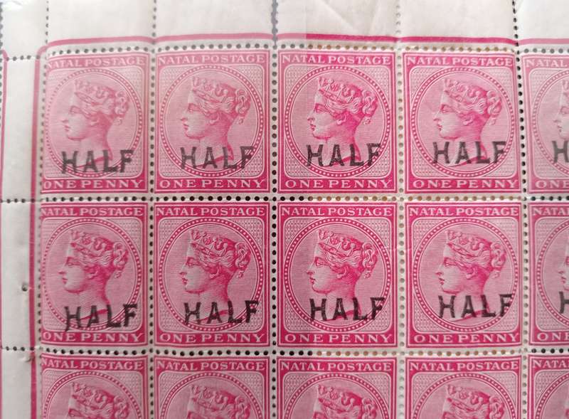 NATAL 1895 Surcharged `HALF` on 1d Rose - SACC 108 and 108B Sheet 48 Stamps