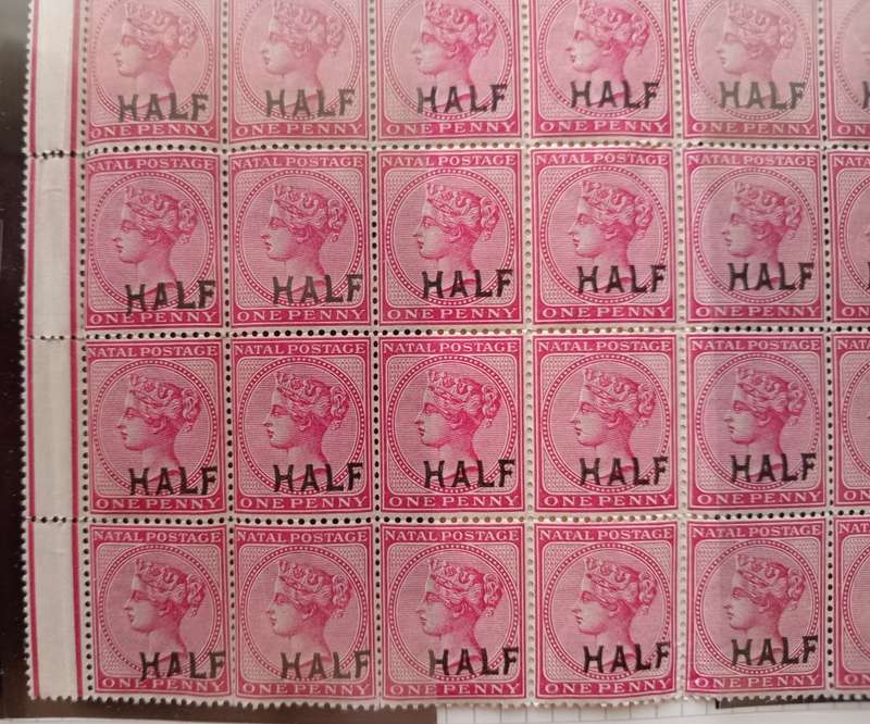 NATAL 1895 Surcharged `HALF` on 1d Rose - SACC 108 and 108B Sheet 48 Stamps