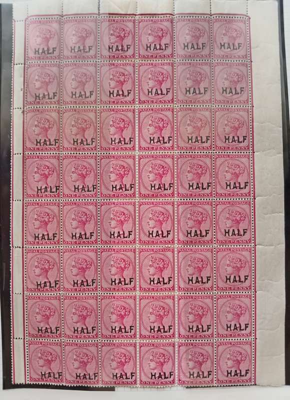 NATAL 1895 Surcharged `HALF` on 1d Rose - SACC 108 and 108B Sheet 48 Stamps