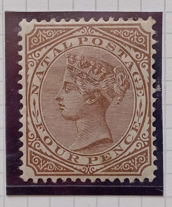 NATAL 1882/1889  4d Brown STAMP  - SACC 98  M/Mint