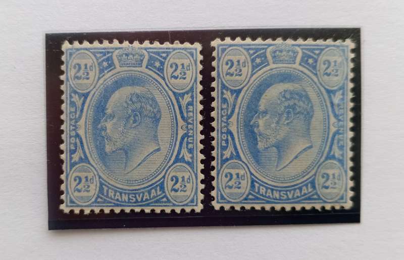 TRANSVAAL  - 1905/09  SACC 282 Bright Blue Lot of 2 Stamps - M/Mint