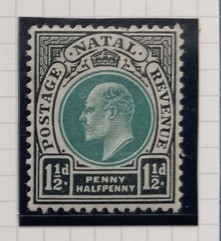 NATAL 1902/03 - SACC111 1 1/2d Green and Black Stamp - M/Mint