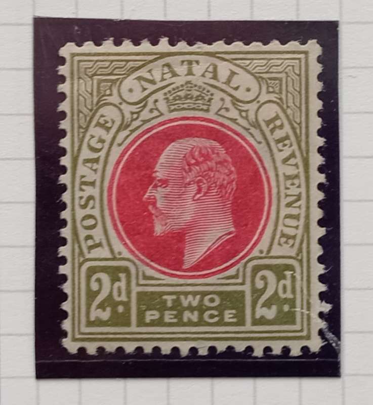 NATAL 1902/03 - SACC112 2d Red and Olive green Stamp - M/Mint