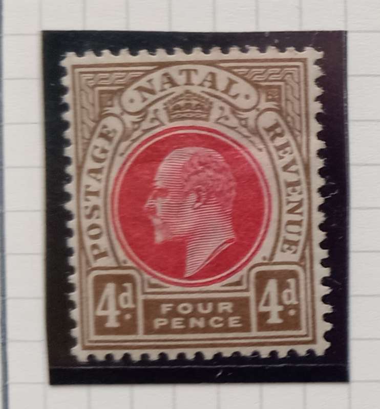 NATAL 1902/03 - SACC115 4d Carmine and Cinnamon Stamp - M/Mint