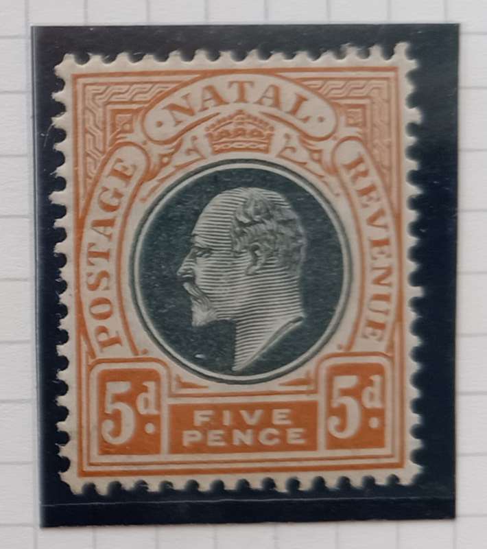 NATAL 1902/03 - SACC116 5d Black and Orange Stamp - M/Mint