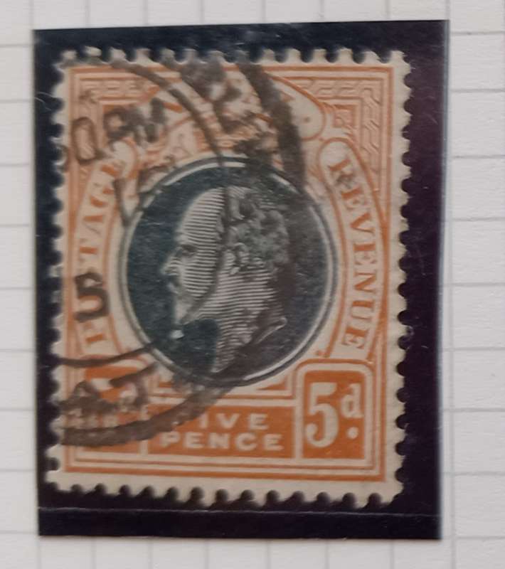 NATAL 1902/03 - SACC116 5d Black and Orange Stamp - Used