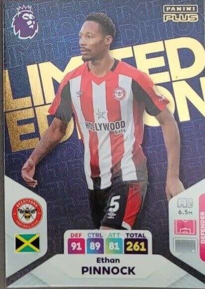 ETHAN PINNOCK - PANINI English Premier League PLUS 2024 - RARE `LIMITED EDITION` TRADING CARD